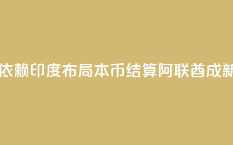 为减少美元依赖	，印度布局本币结算，阿联酋成新目标 第1张