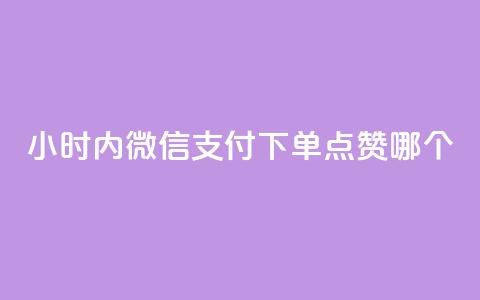 24小时内微信支付下单	，点赞哪个？ 第1张