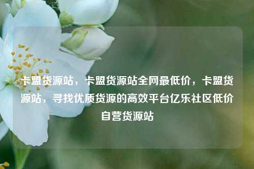卡盟货源站	，卡盟货源站全网最低价，卡盟货源站，寻找优质货源的高效平台亿乐社区低价自营货源站  第1张