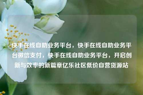 快手在线自助业务平台，快手在线自助业务平台微信支付，快手在线自助业务平台，开启创新与效率的新篇章亿乐社区低价自营货源站  第1张