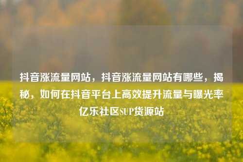 抖音涨流量网站	，抖音涨流量网站有哪些，揭秘，如何在抖音平台上高效提升流量与曝光率亿乐社区SUP货源站  第1张