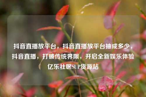 抖音直播放平台	，抖音直播放平台抽成多少，抖音直播，打破传统界限，开启全新娱乐体验亿乐社区SUP货源站  第1张
