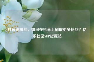 抖音刷粉丝，如何在抖音上刷取更多粉丝？亿乐社区SUP货源站