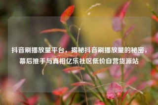 抖音刷播放量平台，揭秘抖音刷播放量的秘密，幕后推手与真相亿乐社区低价自营货源站