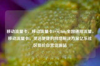 移动流量卡，移动流量卡19元360g全国通用流量，移动流量卡，灵活便捷的网络解决方案亿乐社区低价自营货源站
