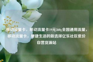 移动流量卡，移动流量卡19元360g全国通用流量，移动流量卡，便捷生活的新选择亿乐社区低价自营货源站