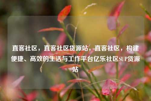 直客社区，直客社区货源站，直客社区	，构建便捷、高效的生活与工作平台亿乐社区SUP货源站  第1张