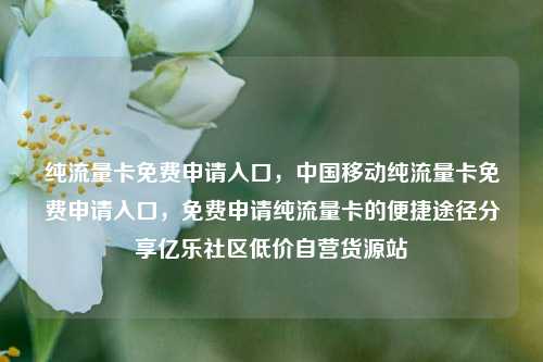 纯流量卡免费申请入口	，中国移动纯流量卡免费申请入口，免费申请纯流量卡的便捷途径分享亿乐社区低价自营货源站  第1张