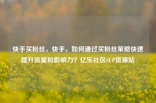 快手买粉丝，快手，如何通过买粉丝策略快速提升流量和影响力？亿乐社区SUP货源站  第1张
