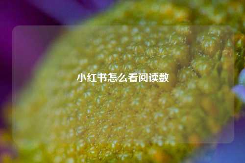 小红书怎么看阅读数  第1张