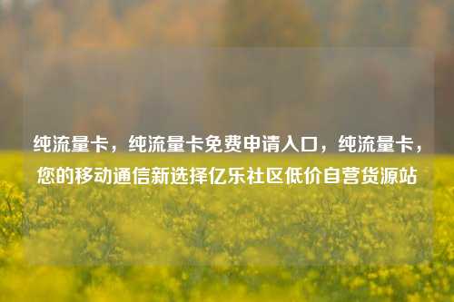 纯流量卡	，纯流量卡免费申请入口，纯流量卡，您的移动通信新选择亿乐社区低价自营货源站  第1张