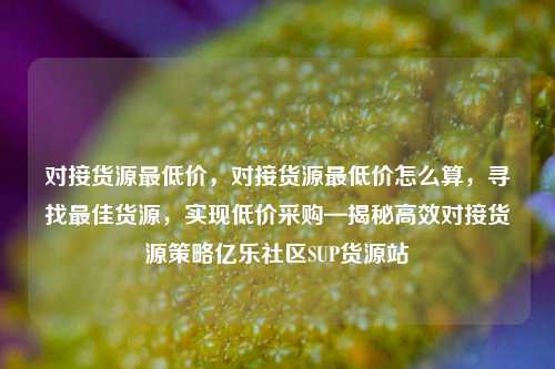 对接货源最低价，对接货源最低价怎么算，寻找最佳货源	，实现低价采购—揭秘高效对接货源策略亿乐社区SUP货源站  第1张