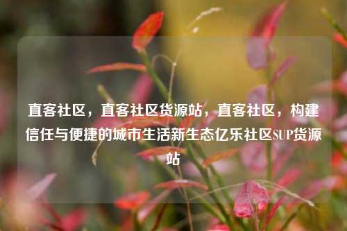 直客社区	，直客社区货源站，直客社区，构建信任与便捷的城市生活新生态亿乐社区SUP货源站  第1张