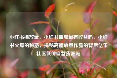 小红书播放量	，小红书播放量有收益吗，小红书火爆的秘密，揭秘高播放量作品的背后亿乐社区低价自营货源站  第1张