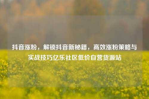抖音涨粉，解锁抖音新秘籍，高效涨粉策略与实战技巧亿乐社区低价自营货源站  第1张