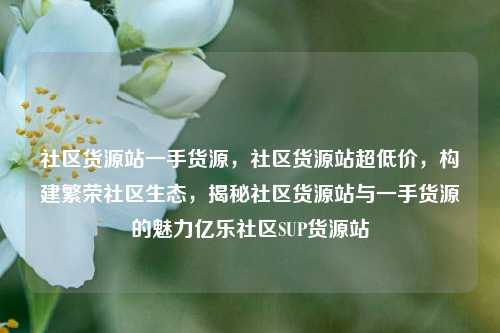 社区货源站一手货源，社区货源站超低价，构建繁荣社区生态	，揭秘社区货源站与一手货源的魅力亿乐社区SUP货源站  第1张