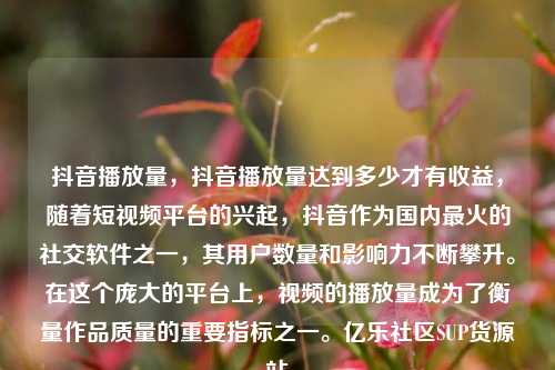 抖音播放量，抖音播放量达到多少才有收益	，随着短视频平台的兴起，抖音作为国内最火的社交软件之一，其用户数量和影响力不断攀升	。在这个庞大的平台上	，视频的播放量成为了衡量作品质量的重要指标之一。亿乐社区SUP货源站  第1张
